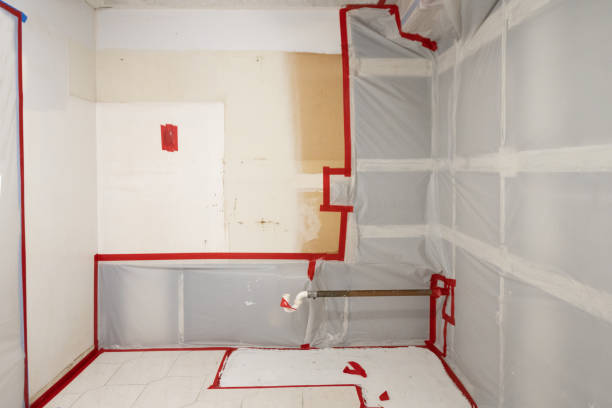 Best Crawl Space Mold Remediation  in Sturgis, MI