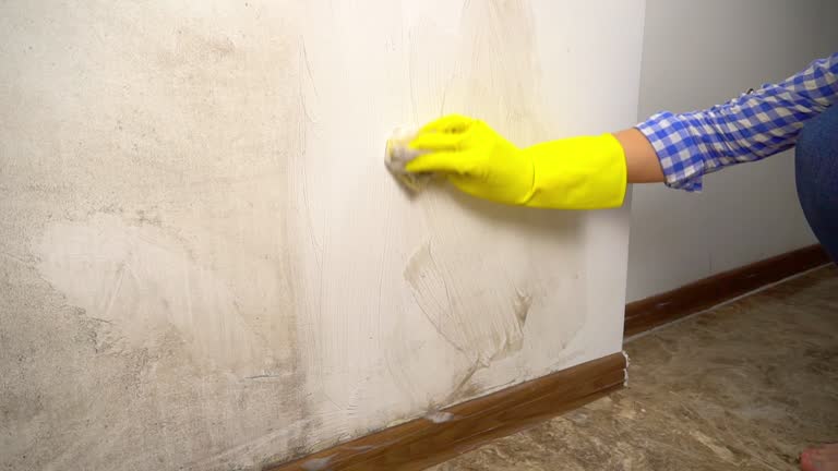 Best Mold Documentation for Insurance Claims  in Sturgis, MI
