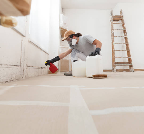 Best Biohazard Mold Removal  in Sturgis, MI